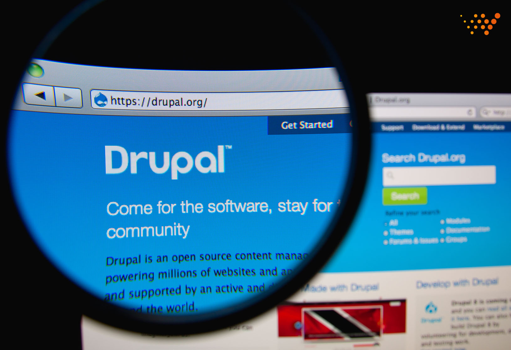 La grande community di Drupal